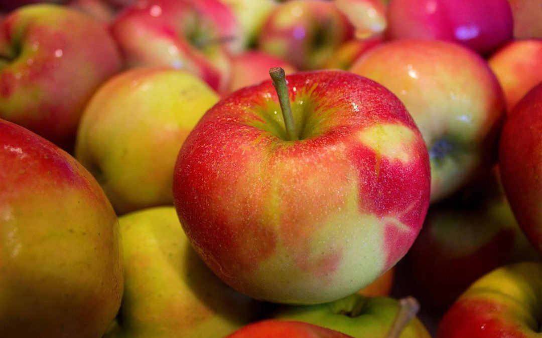 Lancement de la campagne de recrutement Collecte de pommes 2020