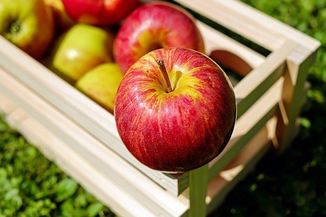 Emploi : Cueillette des pommes